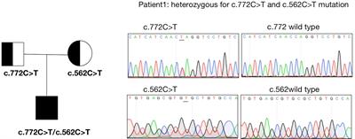Clinical characteristics of a male child with non-classic lipoid congenital adrenal hyperplasia and literature review